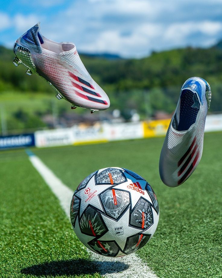 Dominio y preparación profesional